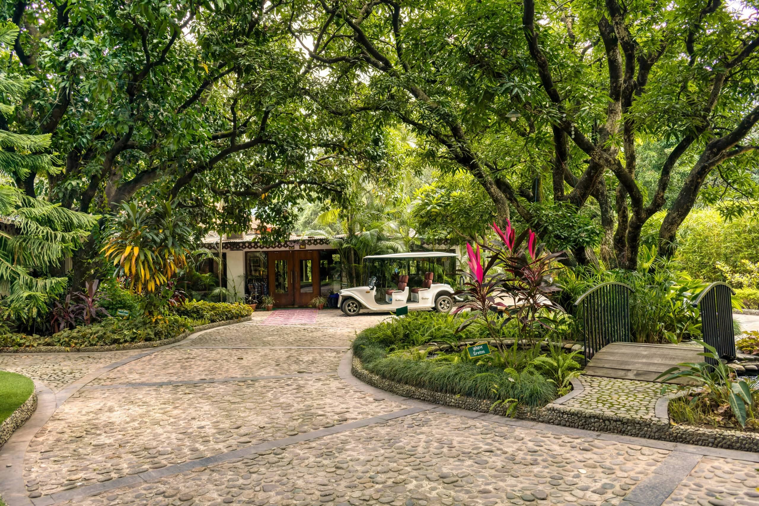 Lush, shaded cobblestone driveway leading to a resort's entrance, with a white golf cart parked under large green trees in a tropical or jungle setting.