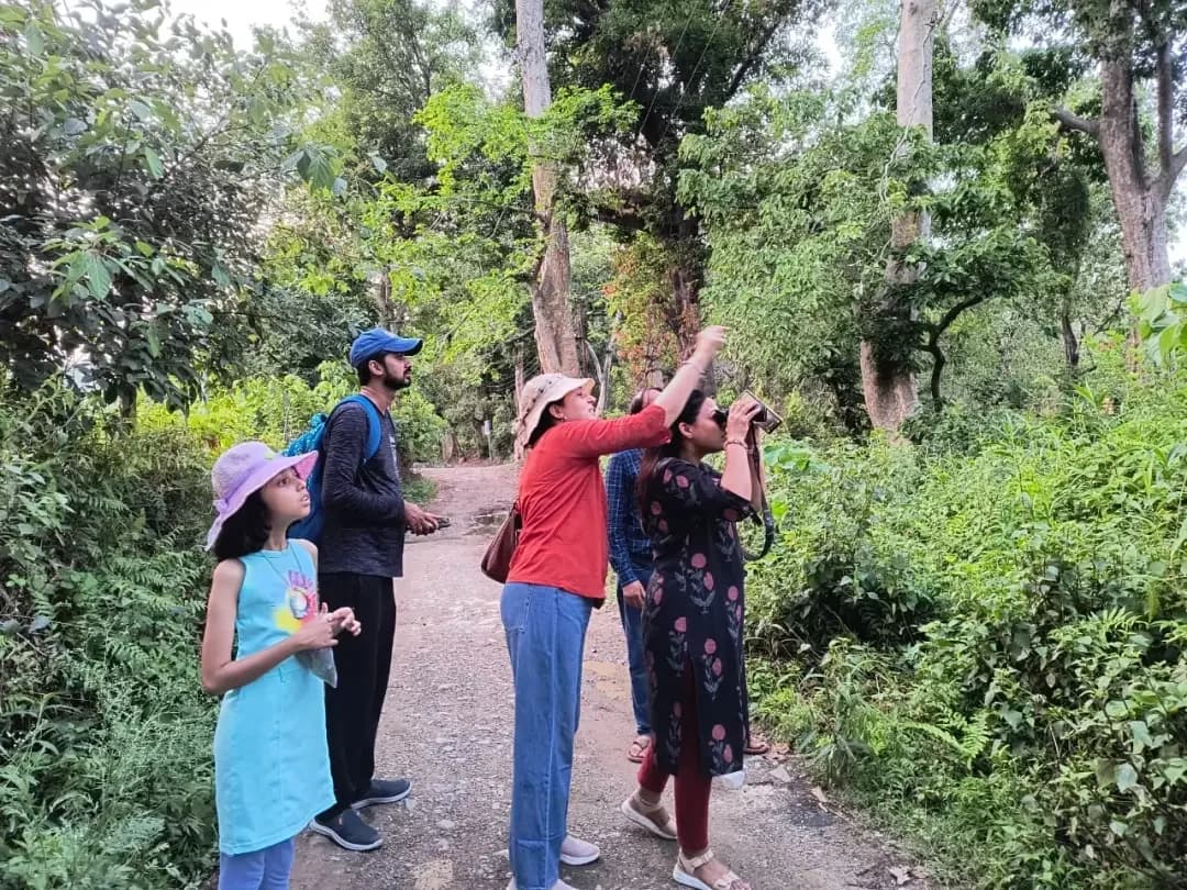 Tourist spotting birds with binoculars